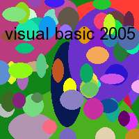 visual basic 2005 referenz