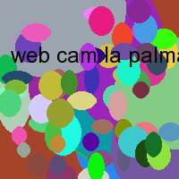 web cam la palma