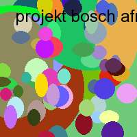 projekt bosch afrika